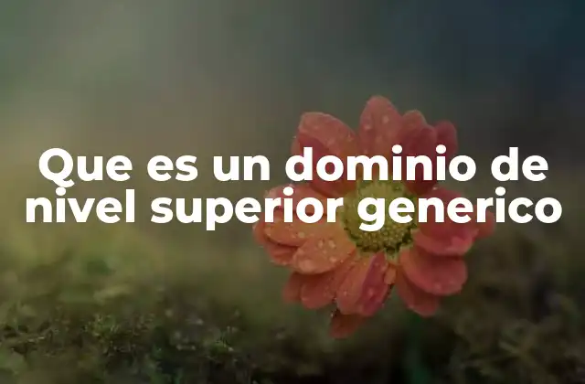 Que es un Dominio de Nivel Superior Generico 2 La importancia de los dominios en la estructura de Internet