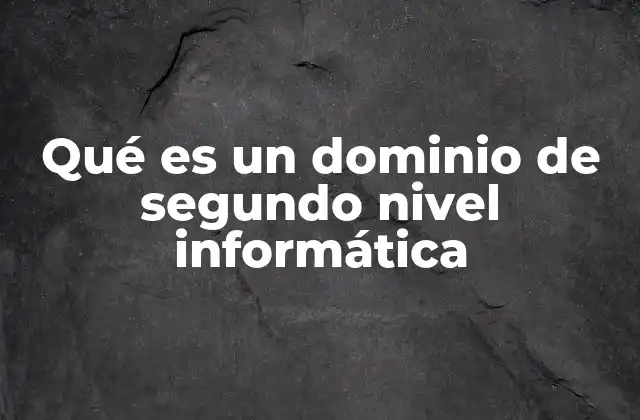 Qué es un Dominio de Segundo Nivel Informática