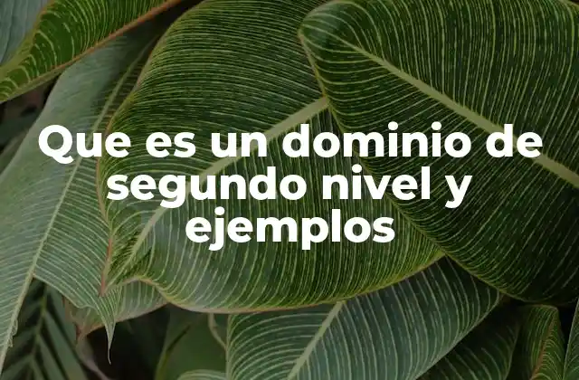 Que es un Dominio de Segundo Nivel y Ejemplos