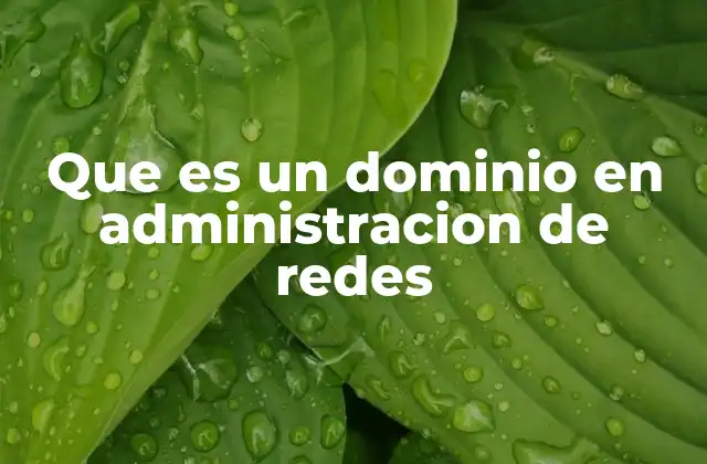 Que es un Dominio en Administracion de Redes