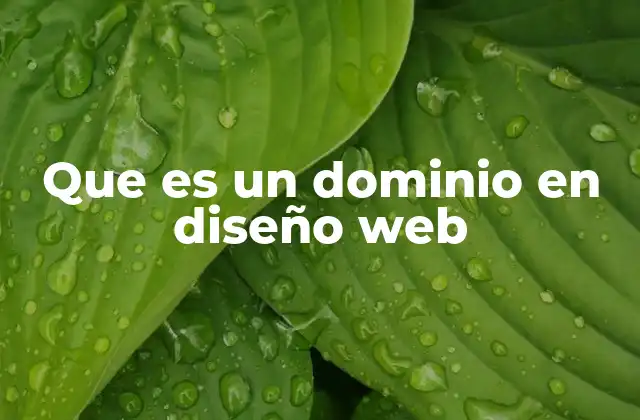 Que es un Dominio en Diseño Web