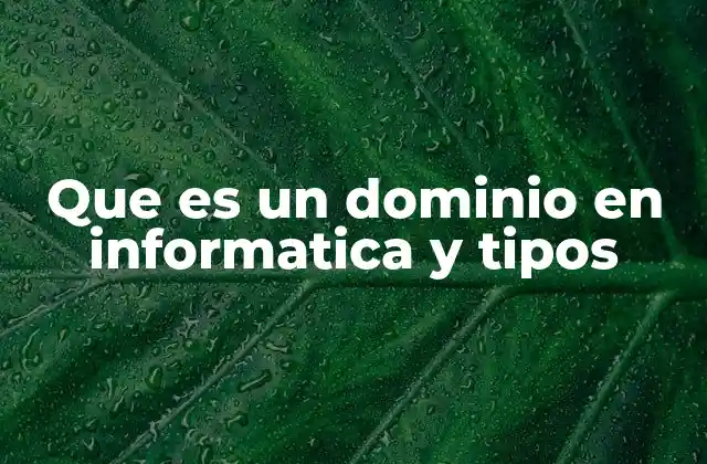 Que es un Dominio en Informatica y Tipos