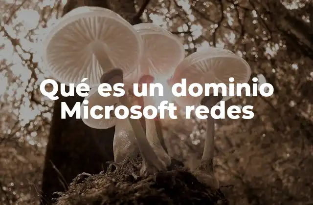 Qué es un Dominio Microsoft Redes