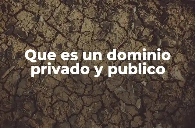 Que es un Dominio Privado y Publico