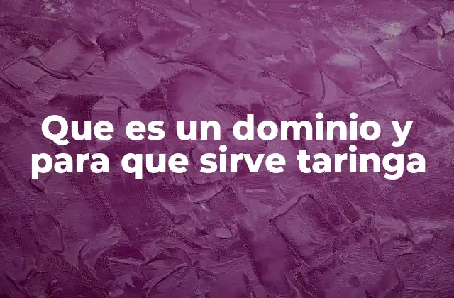 Que es un Dominio y para que Sirve Taringa