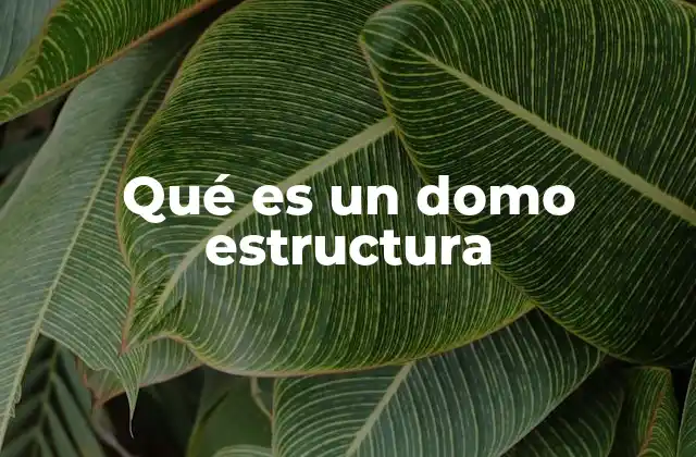Qué es un Domo Estructura 2 Características arquitectónicas de las estructuras domo