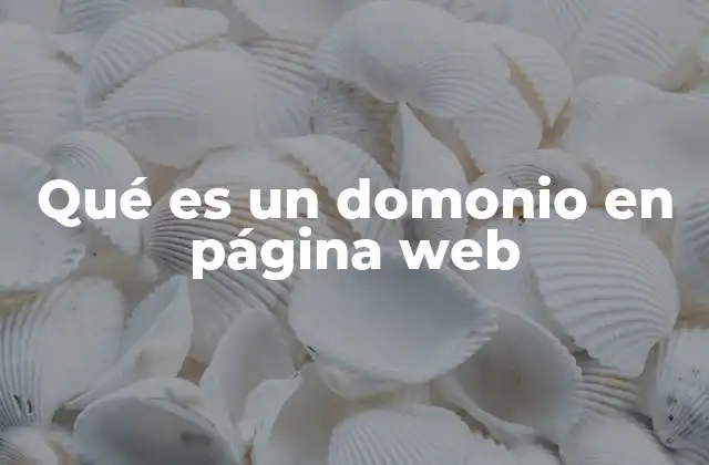 Qué es un Domonio en Página Web