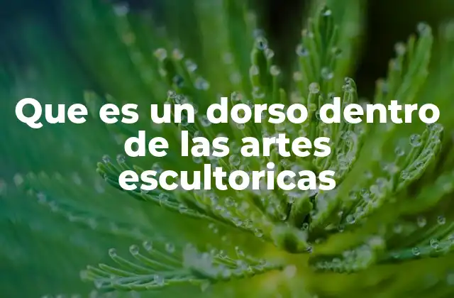 Que es un Dorso Dentro de las Artes Escultoricas