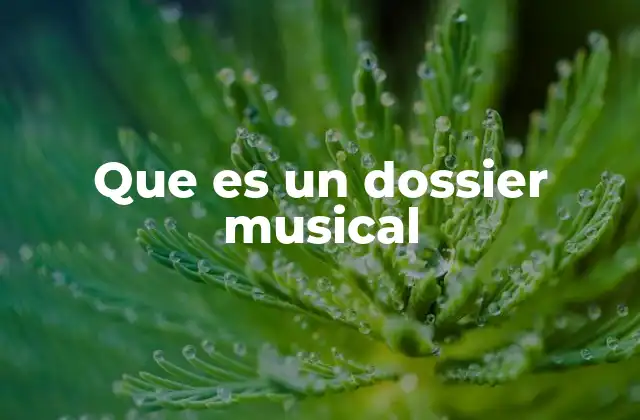 Que es un Dossier Musical