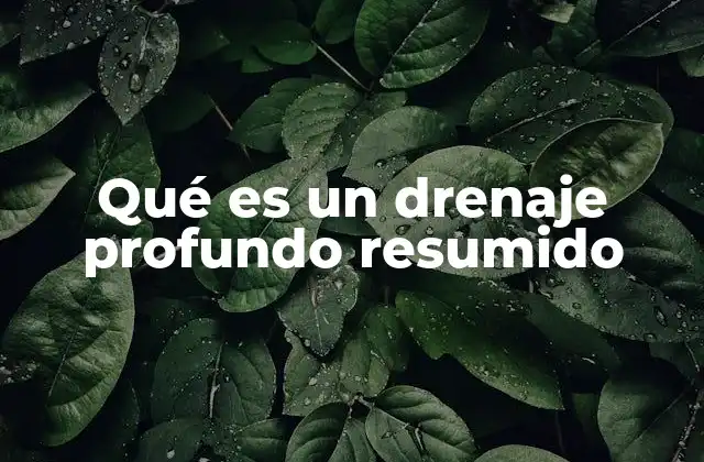 Qué es un Drenaje Profundo Resumido