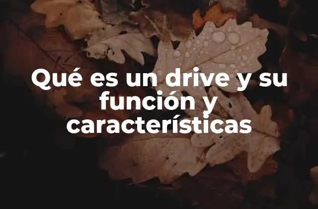 Qué es un Drive y Su Función y Características