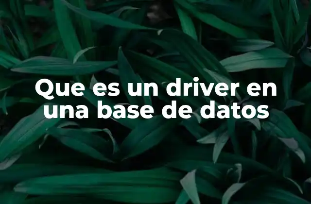 Que es un Driver en una Base de Datos
