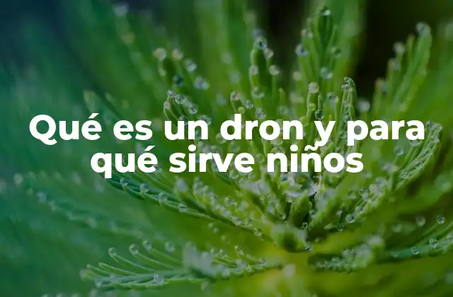 Qué es un Dron y para Qué Sirve Niños