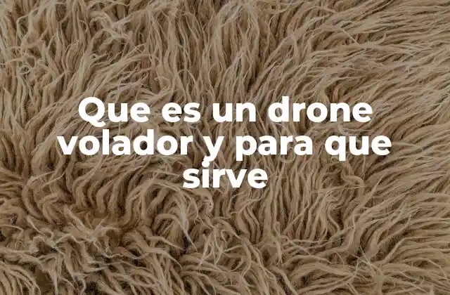 Que es un Drone Volador y para que Sirve