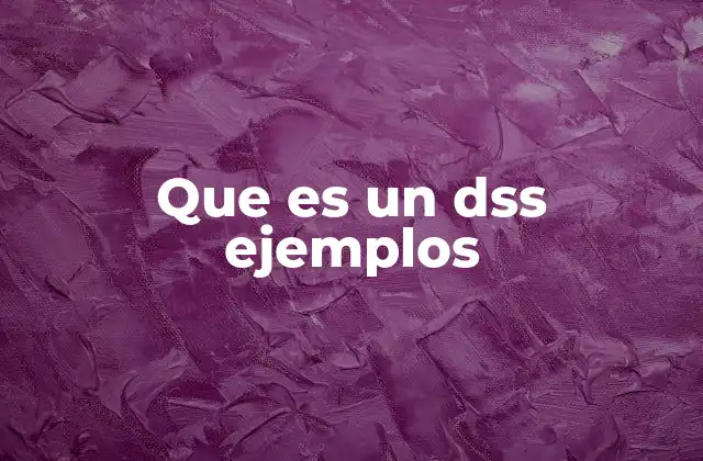 Que es un Dss Ejemplos