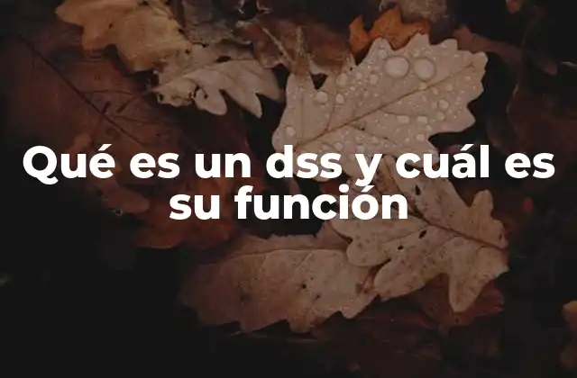 Qué es un Dss y Cuál es Su Función