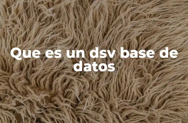 Que es un Dsv Base de Datos