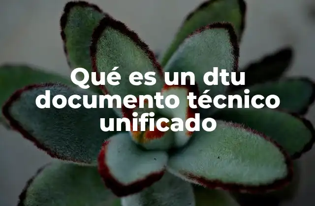 Qué es un Dtu Documento Técnico Unificado