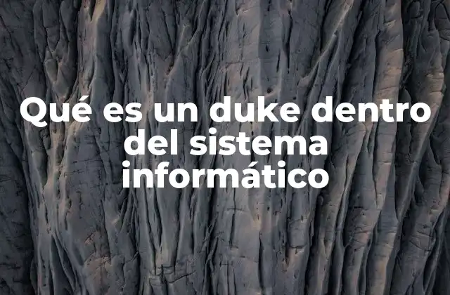 Qué es un Duke Dentro Del Sistema Informático