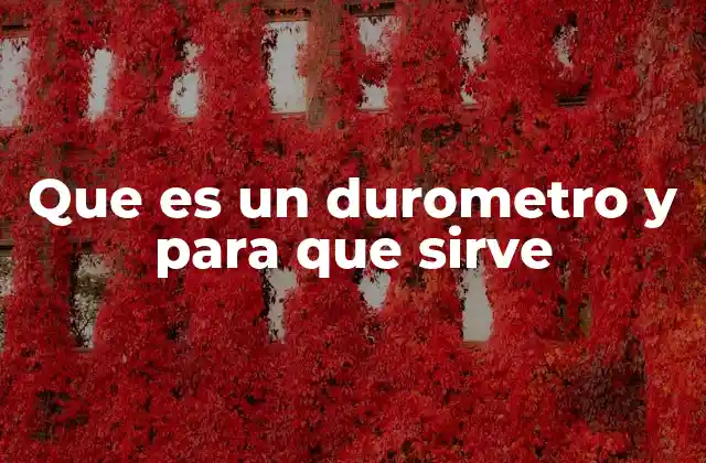 Que es un Durometro y para que Sirve