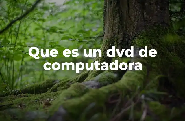 Que es un Dvd de Computadora