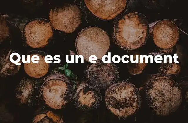 Que es un e Document