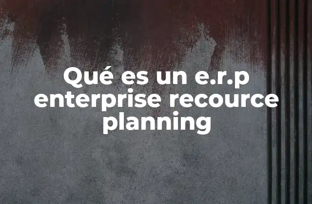 Qué es un E.r.p Enterprise Recource Planning