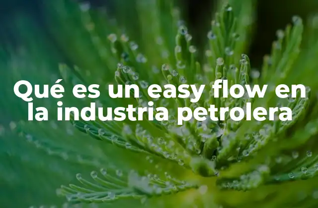 Qué es un Easy Flow en la Industria Petrolera