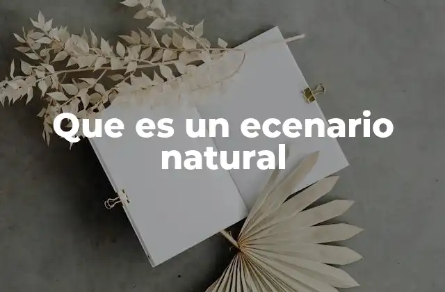 Que es un Ecenario Natural