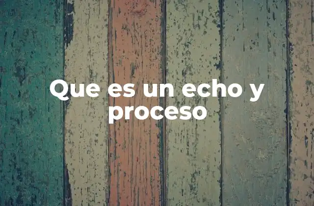 Que es un Echo y Proceso