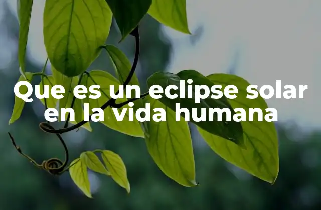 Que es un Eclipse Solar en la Vida Humana