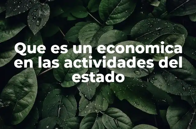 Que es un Economica en las Actividades Del Estado