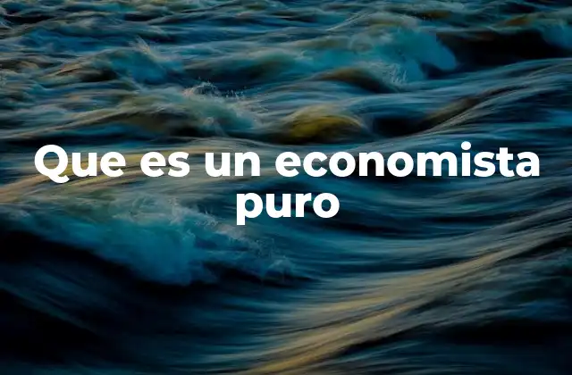 Que es un Economista Puro