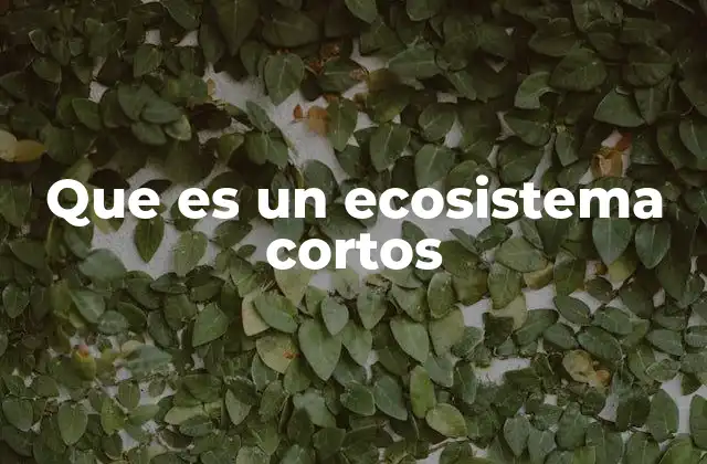 Que es un Ecosistema Cortos