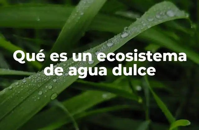 Qué es un Ecosistema de Agua Dulce