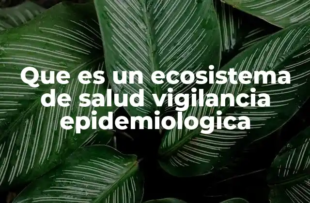 Que es un Ecosistema de Salud Vigilancia Epidemiologica