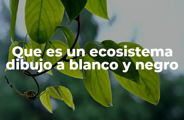 Que es un Ecosistema Dibujo a Blanco y Negro