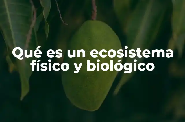 Qué es un Ecosistema Físico y Biológico