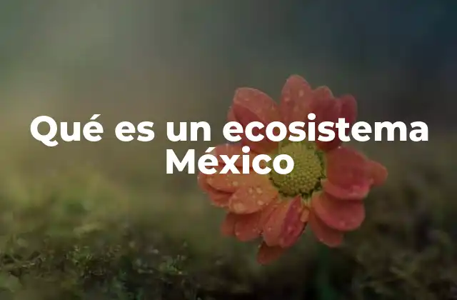 Qué es un Ecosistema México