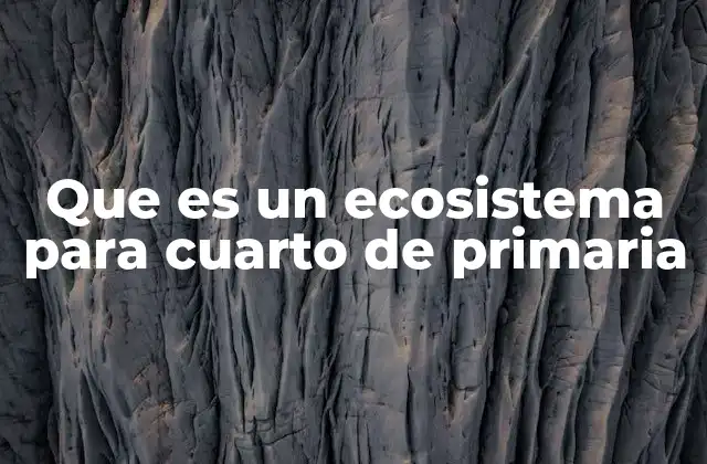 Que es un Ecosistema para Cuarto de Primaria
