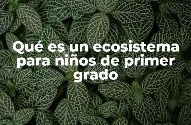 El mundo natural y los niños: una conexión especial