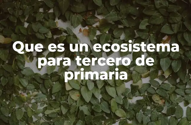 Que es un Ecosistema para Tercero de Primaria 2 Cómo los niños pueden entender la vida en un ecosistema