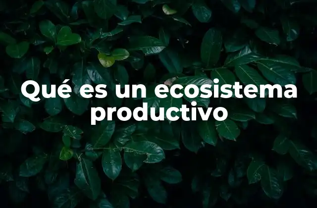 Qué es un Ecosistema Productivo