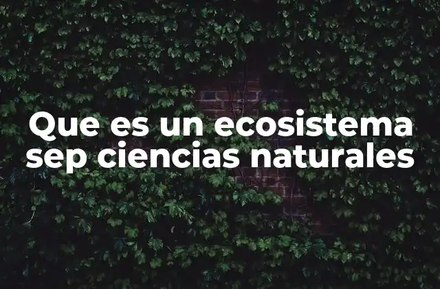 Que es un Ecosistema Sep Ciencias Naturales