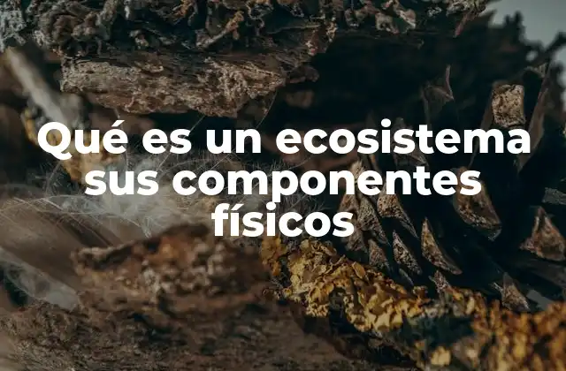 La base inorgánica de los sistemas naturales