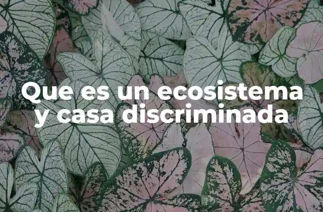 Que es un Ecosistema y Casa Discriminada