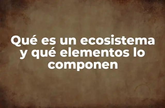 Qué es un Ecosistema y Qué Elementos Lo Componen