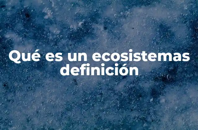 Qué es un Ecosistemas Definición