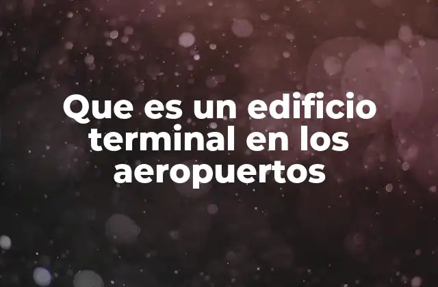 Que es un Edificio Terminal en los Aeropuertos
