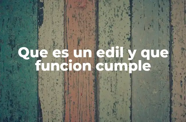 Que es un Edil y que Funcion Cumple
